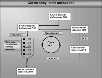 Иллюстрация к книге — Имя ему СПИД. Четвертый всадник Апокалипсиса [i_050.jpg]