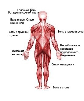 Иллюстрация к книге — Забыть стоматологов. Диеты. Симперцептинг [_3.jpg]
