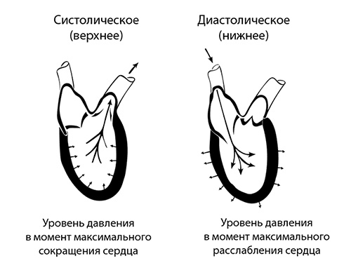 Иллюстрация к книге — Инсульт. До и после [i_039.jpg]