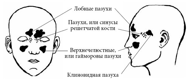 Иллюстрация к книге — Если ваш ребенок заболел. Что должны знать и уметь родители [i_018.jpg]