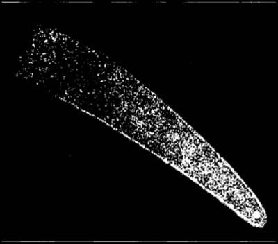 Иллюстрация к книге — Гибель богов в эпоху Огня и Камня [i_016.jpg]