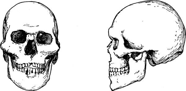Иллюстрация к книге — Расы Европы [_18.jpg]