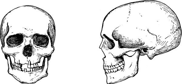 Иллюстрация к книге — Расы Европы [_26.jpg]