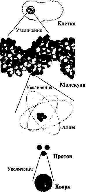 Иллюстрация к книге — Пять нерешенных проблем науки [i_007.jpg]