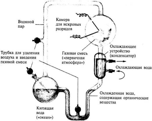 Иллюстрация к книге — Пять нерешенных проблем науки [i_022.jpg]