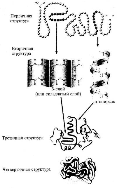 Иллюстрация к книге — Пять нерешенных проблем науки [i_029.jpg]