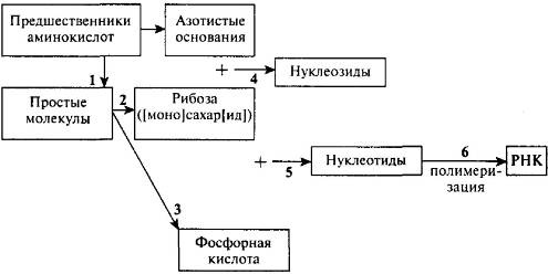 Иллюстрация к книге — Пять нерешенных проблем науки [i_031.jpg]