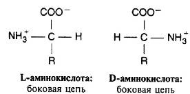Иллюстрация к книге — Пять нерешенных проблем науки [i_034.jpg]