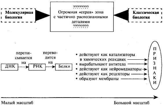 Иллюстрация к книге — Пять нерешенных проблем науки [i_045.jpg]