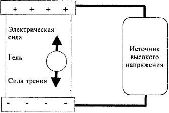 Иллюстрация к книге — Пять нерешенных проблем науки [i_046.jpg]