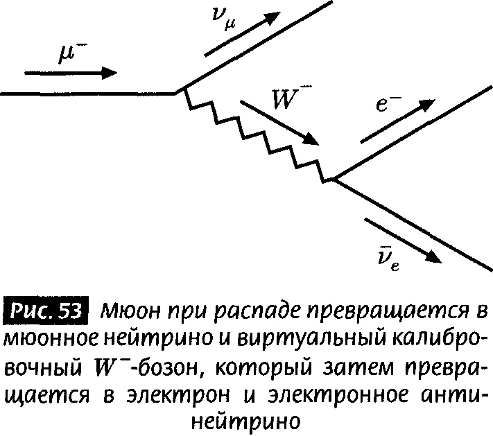 Иллюстрация к книге — Закрученные пассажи. Проникая в тайны скрытых размерностей пространства [image51.jpg]
