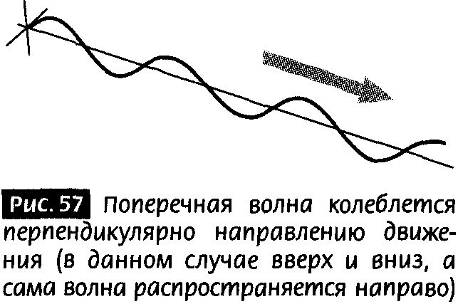 Иллюстрация к книге — Закрученные пассажи. Проникая в тайны скрытых размерностей пространства [image55.jpg]