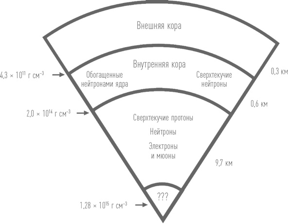 Иллюстрация к книге — Суперобъекты. Звезды размером с город [i_007.jpg]