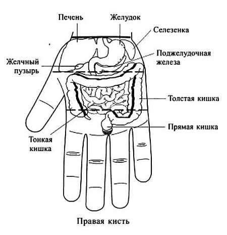 Иллюстрация к книге — Сам себе Су Джок доктор [_10.jpg]