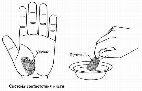 Иллюстрация к книге — Сам себе Су Джок доктор [_101.jpg]