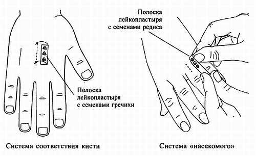 Иллюстрация к книге — Сам себе Су Джок доктор [_104.jpg]