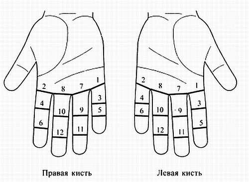 Иллюстрация к книге — Сам себе Су Джок доктор [_105.jpg]