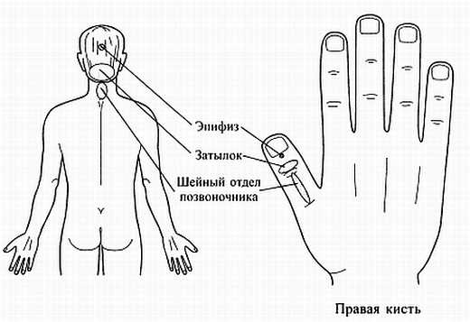Иллюстрация к книге — Сам себе Су Джок доктор [_110.jpg]
