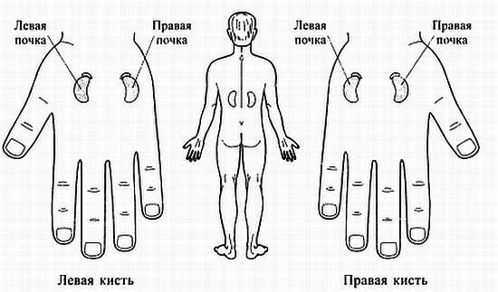 Иллюстрация к книге — Сам себе Су Джок доктор [_111.jpg]