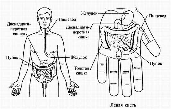Иллюстрация к книге — Сам себе Су Джок доктор [_114.jpg]