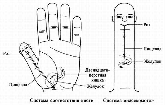 Иллюстрация к книге — Сам себе Су Джок доктор [_116.jpg]