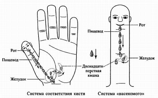 Иллюстрация к книге — Сам себе Су Джок доктор [_117.jpg]