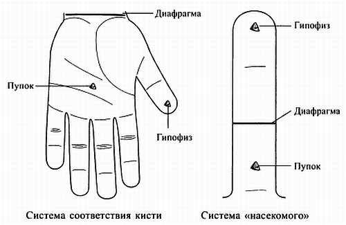 Иллюстрация к книге — Сам себе Су Джок доктор [_118.jpg]