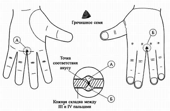 Иллюстрация к книге — Сам себе Су Джок доктор [_127.jpg]