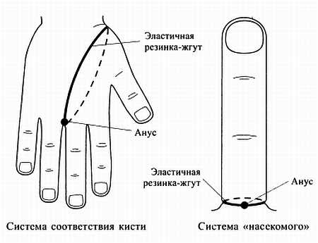Иллюстрация к книге — Сам себе Су Джок доктор [_128.jpg]