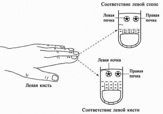 Иллюстрация к книге — Сам себе Су Джок доктор [_132.jpg]