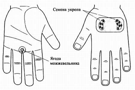 Иллюстрация к книге — Сам себе Су Джок доктор [_139.jpg]