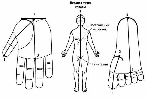 Иллюстрация к книге — Сам себе Су Джок доктор [_15.jpg]