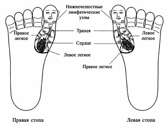 Иллюстрация к книге — Сам себе Су Джок доктор [_20.jpg]