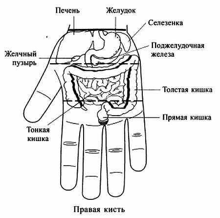 Иллюстрация к книге — Сам себе Су Джок доктор [_21.jpg]