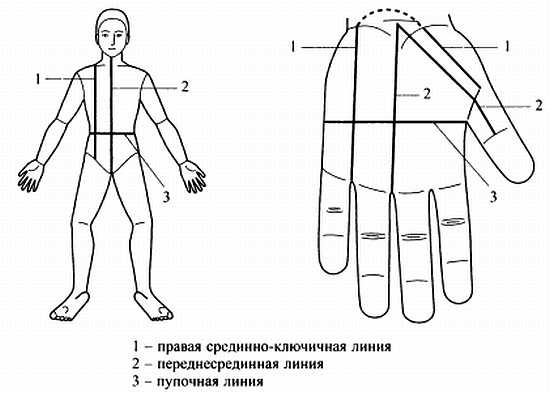 Иллюстрация к книге — Сам себе Су Джок доктор [_31.jpg]
