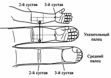 Иллюстрация к книге — Сам себе Су Джок доктор [_32.jpg]