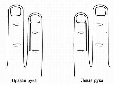 Иллюстрация к книге — Сам себе Су Джок доктор [_65.jpg]