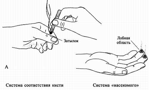Иллюстрация к книге — Сам себе Су Джок доктор [_94.jpg]