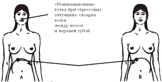 Иллюстрация к книге — Секреты любви. Даосская практика для женщин и мужчин [i_028.jpg]