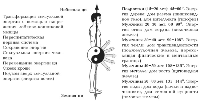 Иллюстрация к книге — Секреты любви. Даосская практика для женщин и мужчин [i_084.jpg]