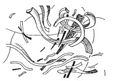 Иллюстрация к книге — Психология творчества, креативности, одаренности [autogen_ebook_id59.jpg]