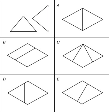 Иллюстрация к книге — Дифференциальная психология профессиональной деятельности [autogen_ebook_id58.jpg]