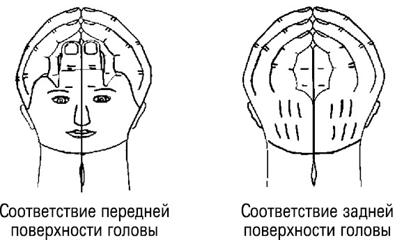 Иллюстрация к книге — Формула Бога. Как работают системные расстановки и Единое информационное поле Вселенной [i_016.jpg]