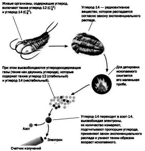 Иллюстрация к книге — Ферми. Ядерная энергия [img_38.jpg]