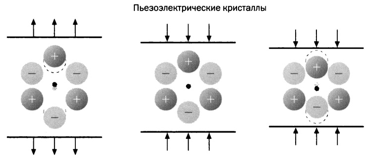 Иллюстрация к книге — Мария Кюри. Радиоактивность и элементы [i_008.jpg]