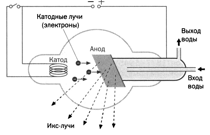 Иллюстрация к книге — Мария Кюри. Радиоактивность и элементы [i_010.jpg]