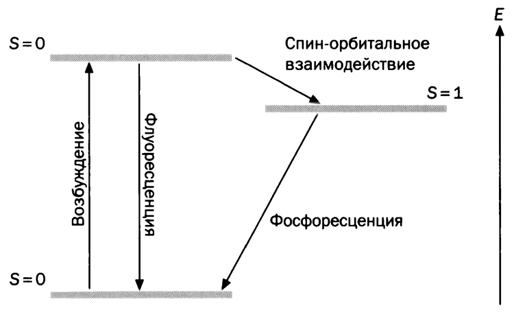 Иллюстрация к книге — Мария Кюри. Радиоактивность и элементы [i_013.jpg]