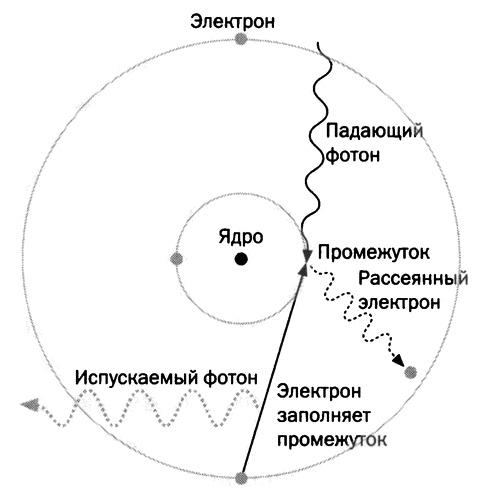 Иллюстрация к книге — Мария Кюри. Радиоактивность и элементы [i_051.jpg]