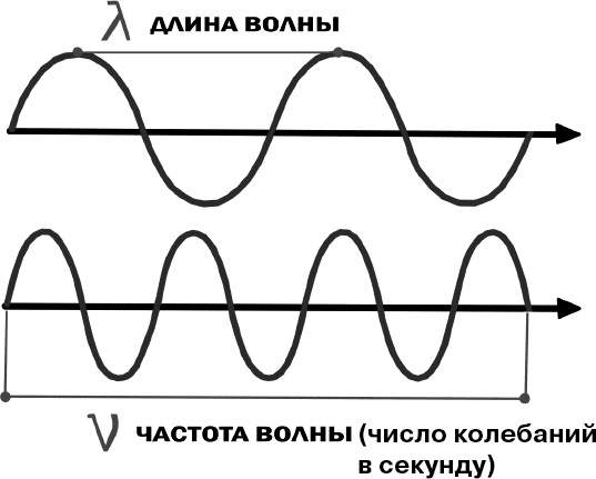 Иллюстрация к книге — Физика на пальцах. Для детей и родителей, которые хотят объяснять детям [i_048.jpg]