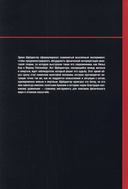 На волне Вселенной. Шрёдингер. Квантовые парадоксы